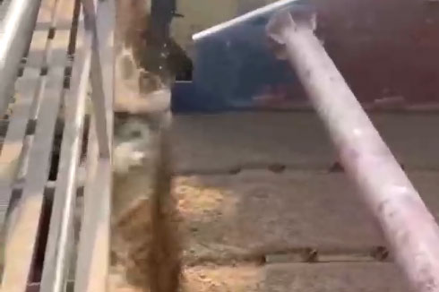 恭祝水洗砂生產(chǎn)線開工大吉，采用多臺豫特科技3061高效脫水篩